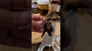 Making Medicinal Honey Elecampane amp Osha Root [upl. by Panthea]