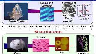 Webinar Introduction to Piezoresponse Force Microscopy PFM [upl. by Canale238]