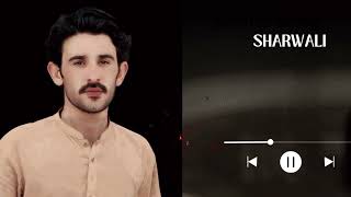 LAILA MERI LAILA  PASHTO SONG  X REVERBpashto​ pashtosong​ pakistan​ pakistanisong​  pashto [upl. by Akital]