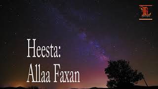 Hees Allaa Faxan Maxamed Mooge Balwo Lyrics [upl. by Romulus]