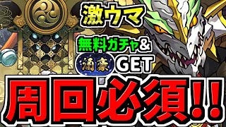 【周回必須】無料ガチャamp称号ゲット！シロキセイリュウ降臨周回！ノルディス編成！報酬激ウマです！代用・立ち回り解説！確保数解説付き【パズドラ】 [upl. by Akibma]