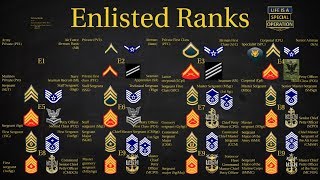 US Military All Branches ENLISTED Ranks Explained [upl. by Yenolem122]