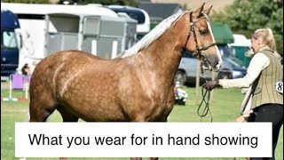 What to wear for in hand showing  handler outfit top tips for showing turnout  Karen badrick horse [upl. by Ecurb384]