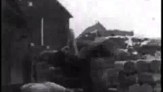 Canadian Army Newsreel Lincoln and Welland Regiment Attack At Kapelsche Veer [upl. by Rina]