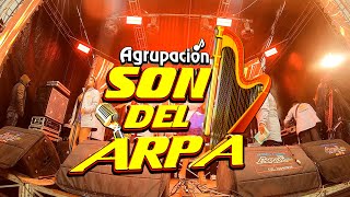 Son del Arpa  Mix Huaynos 2024 En Vivo  Primicias [upl. by Wilonah]