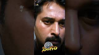 Suriya Serious Warning To Rahman  singam2  shorts  ytshorts  sribalajivideo [upl. by Dachy]