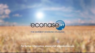 Econase XT  the hardest working xylanase [upl. by Leatrice]