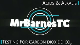 GCSE Chemistry 19 What is the Chemical Test for Carbon Dioxide [upl. by Tobye]