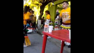 Matachines Danza Guadalupana [upl. by Nirrej]