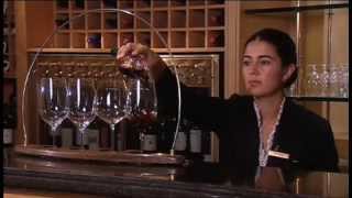 Discover The Wines of Chile Part 1 of 2 [upl. by Mihsah]