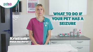 What To Do If Your Pet Has A Seizure PDSA Petwise Pet Health Hub [upl. by Eseerehc721]