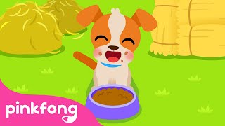 I’m a happy dog  The Dog Song  Farm Animals  Nursery Rhymes  Animal Songs  Pinkfong Songs [upl. by Garceau]