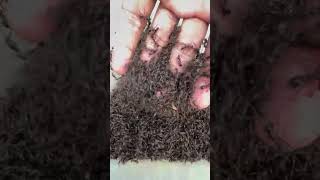 10000 bullet ants Vs Brave ants man shorts [upl. by Sukramed]