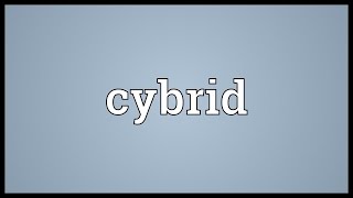 Cybrid Meaning [upl. by Daniyal]