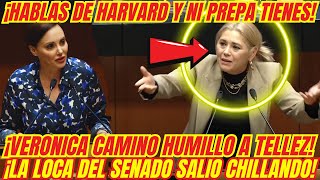 ¡BOFETADON QUE SE LLEVÓ LA LOCA DEL SENADO ¡VERONICA CAMINO LA HIZO TRIZAS [upl. by Anala]