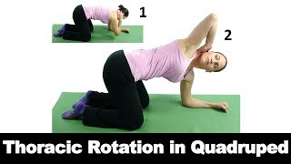 Thoracic Rotation in Quadruped  Ask Doctor Jo [upl. by Sakiv]