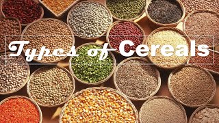 Types of Cereals  List of 45 Cereals and Pseudocereals  Grains Name [upl. by Enitsuj]