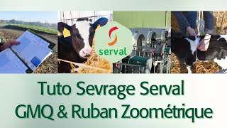 Tuto Sevrage Serval  GMQ et ruban zoométrique [upl. by Anujra348]