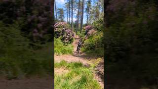 Sick Clips From Puddletown 🔥mtb viral downhill fyp skills shorts [upl. by Ais]