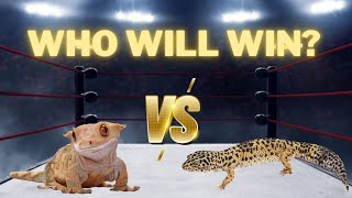 Crested Gecko VS Leopard GeckoWhich Is The Better Pet [upl. by Ode]