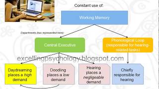 Andrade doodling study  CIE AS 9990 Psychology  Part 1  Explanation [upl. by Chiou111]