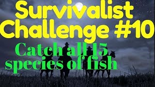 Red Dead 2 Survivalist 10 Guide Catch all 15 species of fish [upl. by Edelson591]