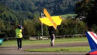 Special RC Airplane only PaperWood 2012 Switzerland RC Event [upl. by Kolnos]