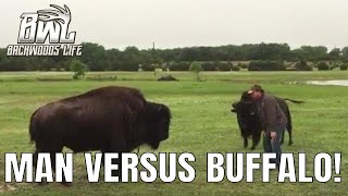 Man Challenges Buffalo Head On in Texas [upl. by Yuzik]