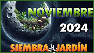 Dias de LUNA para Sembrar y Plantar NOVIEMBRE 2024 [upl. by Missie]