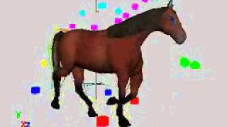 Horse Animation  Walk trot canter gallop  Work In Progress [upl. by Esimehc]