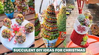 SUCCULENT Decorations Made My Christmas Party EPIC [upl. by Charis]