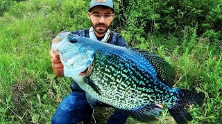 The BIGGEST CRAPPIE EVER CAUGHT on VIDEO [upl. by Etteluap]