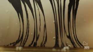 Ferrofluid  Pillar from [upl. by Kilan455]