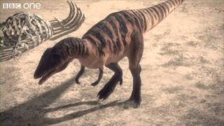 Carcharodontosaurus  Planet Dinosaur  Episode 1  BBC [upl. by Leeann]