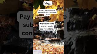 Virgo Weekly Horoscope November 25  December 1 2024 [upl. by Nodearb]