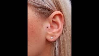 The Piercings Tragus Piercing by Ferry wwwthepiercingseu  Instathepierc [upl. by Perretta]