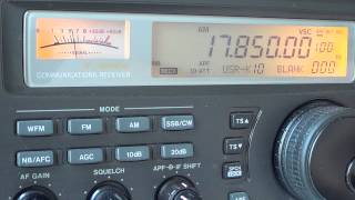 Longwire VS 102 inch CB whip on shortwave observations [upl. by Ilatan]