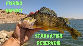 Starvation Reservoir Fishing Report [upl. by Lara501]