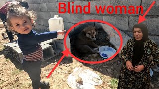 Building a Shelter for a Lost Puppy by blind women and nomadic family [upl. by Silvan]