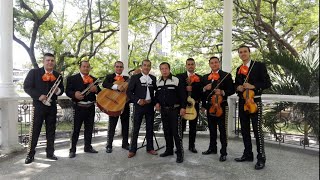 QUE DIOS TE BENDIGA  MARIACHI ESTELAR DE ORO CANCIÓN DE CUMPLEAÑOS [upl. by Cayla195]