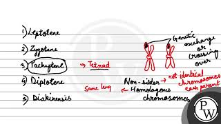 Which one is correct about crossing overgenetic recombination i It occurs in tetrad stage wh [upl. by Gnep216]