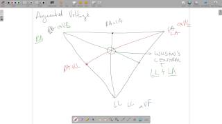 ECG Theory Leads Einthoven Wilsons Central Terminal Placement [upl. by Bevan]