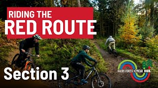 Mountain Biking In Dalby Forest Red Route – Section 3 [upl. by Baoj960]