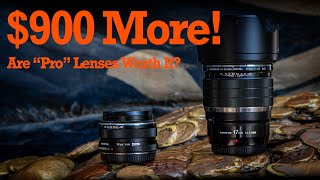 Pro Lenses Worth the Upgrade [upl. by Ninel]