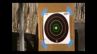 Remington 6mm BDL shooting 100yds How fast is that bullet [upl. by Teferi]