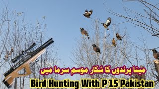 Bird Hunting  Hunting In Pakistan 2024 Hunting Tips  Parndon Ka Shikar  صيد الطيور [upl. by Harle334]