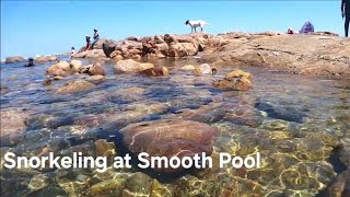 Underwater Smooth Pool Streaky Bay  Adelaide Snorkel Tribe [upl. by Gorrono]