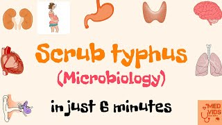 Scrub typhus  Microbiology  Med Vids Made Simple [upl. by Jule]