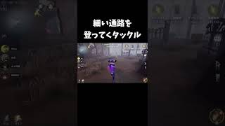 【第五人格】にゅるいさんが助けを求めてたからいくしかない！！【IdentityV】shorts [upl. by Atin]