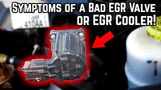 Signs amp Symptoms of a Bad Diesel EGR Valve or EGR Cooler [upl. by Hugon]